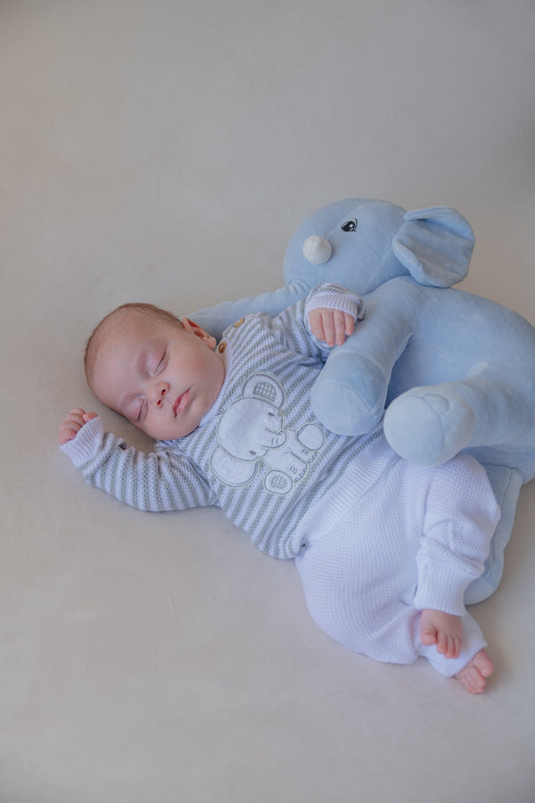 Conjunto Elefante Feliz