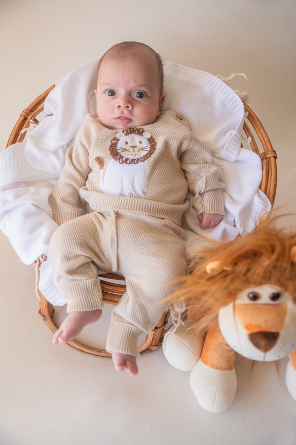 Conjunto León Soñador